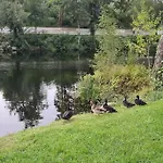 Lejlighed Nature E Al - Termas Saude E Beleza, Totalmente Renovado - Piscinas Municipais Em Frente - Epoca Julho A Setembro