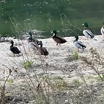 Nature E Al - Termas Saude E Beleza, Totalmente Renovado - Piscinas Municipais Em Frente - Epoca Julho A Setembro
