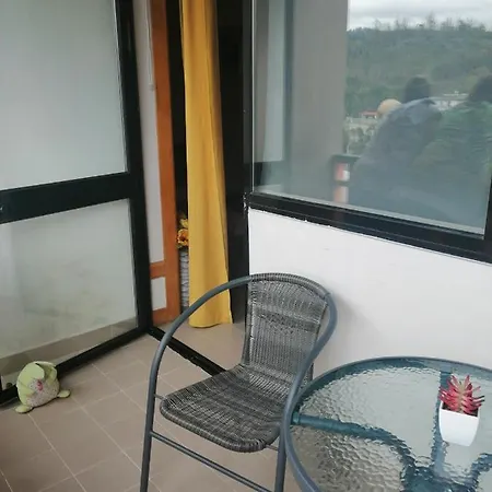 Nature E Al - Termas Saude E Beleza, Totalmente Renovado - Piscinas Municipais Em Frente - Epoca Julho A Setembro Apartament