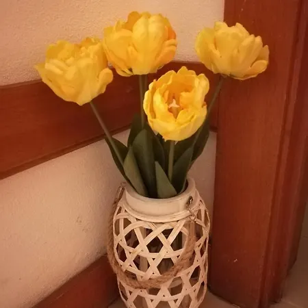 Nature E Al - Termas Saude E Beleza, Totalmente Renovado - Piscinas Municipais Em Frente - Epoca Julho A Setembro Daire São Pedro do Sul