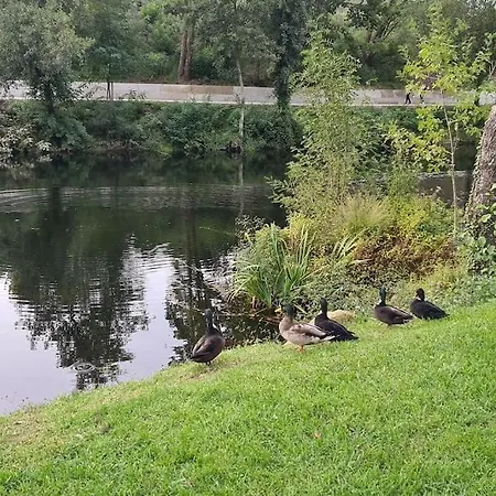 Apartment Nature E Al - Termas Saude E Beleza, Totalmente Renovado - Piscinas Municipais Em Frente - Epoca Julho A Setembro