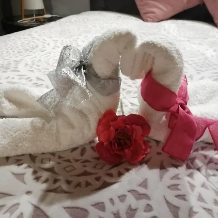 Nature E Al - Termas Saude E Beleza, Totalmente Renovado - Piscinas Municipais Em Frente - Epoca Julho A Setembro * São Pedro do Sul