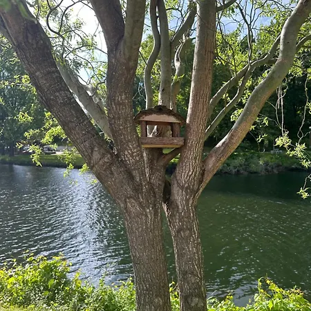 Nature E Al - Termas Saude E Beleza, Totalmente Renovado - Piscinas Municipais Em Frente - Epoca Julho A Setembro * São Pedro do Sul
