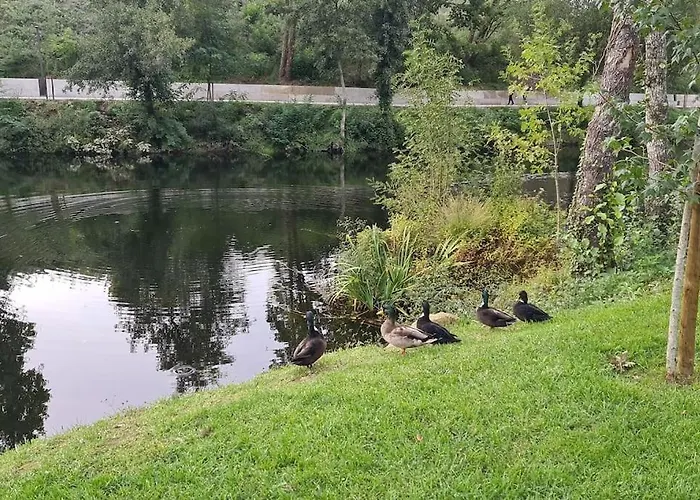 Apartman Nature E Al - Termas Saude E Beleza, Totalmente Renovado - Piscinas Municipais Em Frente - Epoca Julho A Setembro